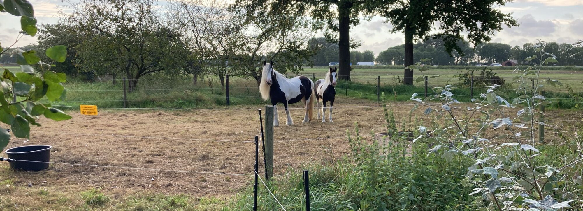 Horsespullen